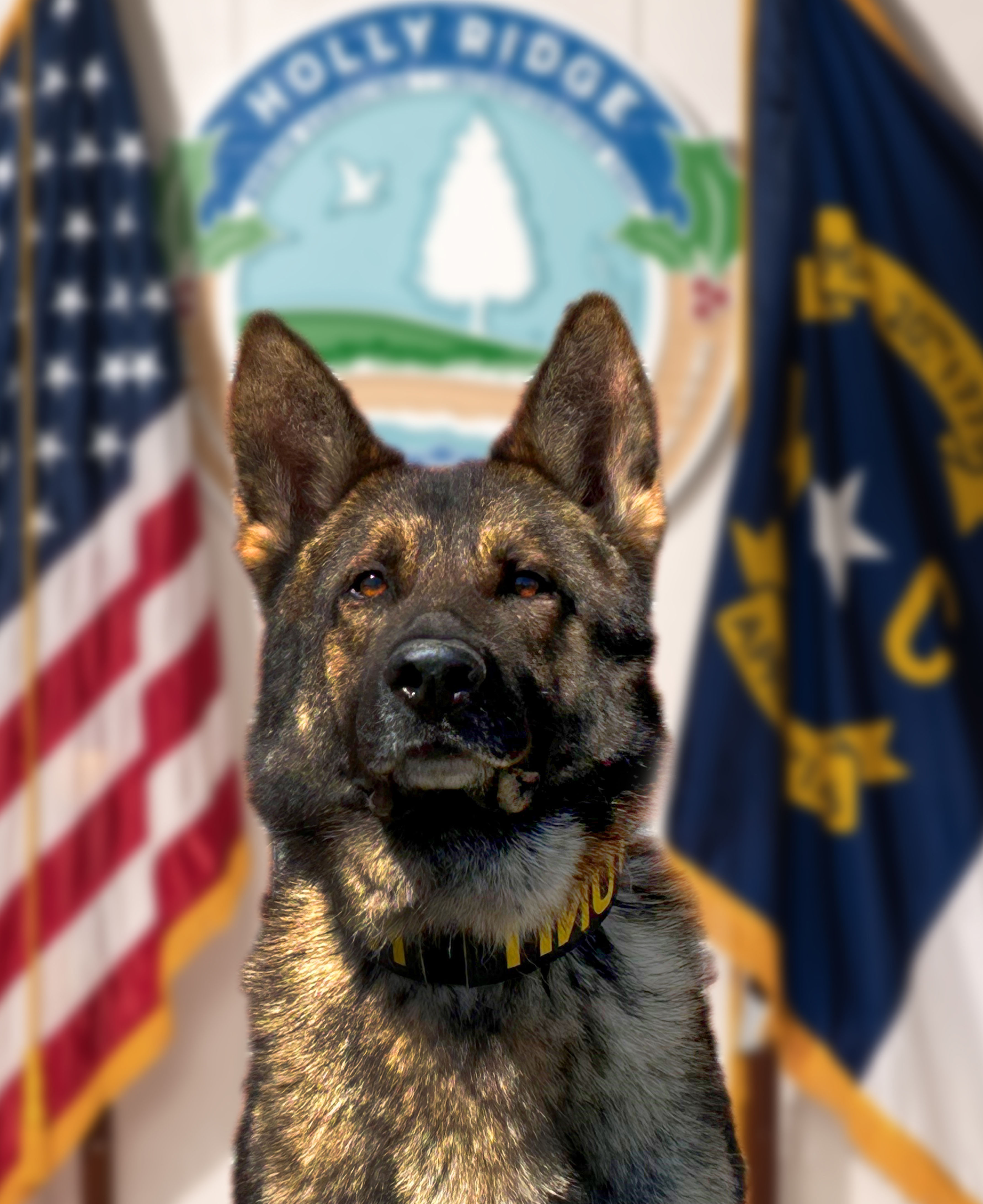 Holly Ridge Police Chief